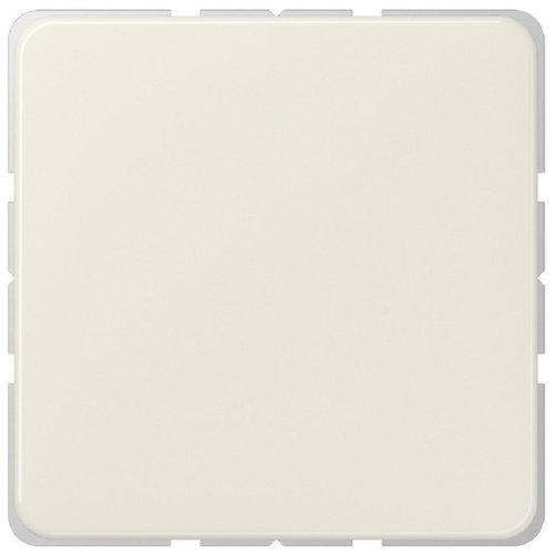 Заглушка без рамки Jung CD500 слоновая кость фото Заглушка без рамки Jung CD500 слоновая кость картинка